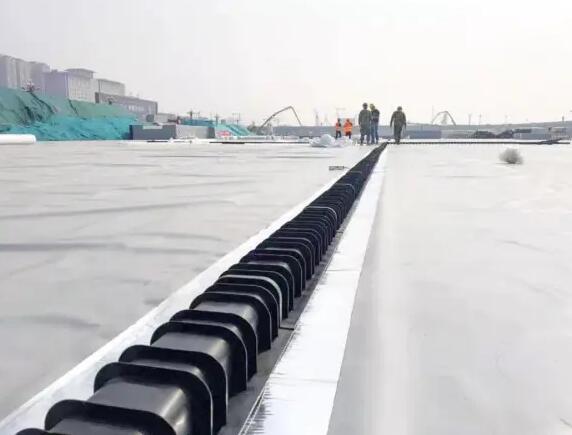 QQ截图20220324145446.jpg